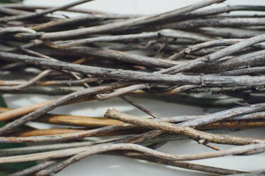 Dekoratif ahşap dallar beyaz arkaplanda üst görünüm