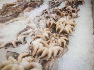 Deniz ürünleri pazarında buzda taze çiğ ahtapot. Deniz ürünleri lokantası, kafeterya. Akdeniz ürünleri.