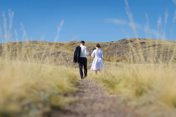 新婚夫婦、草原の中を歩く — ストック写真