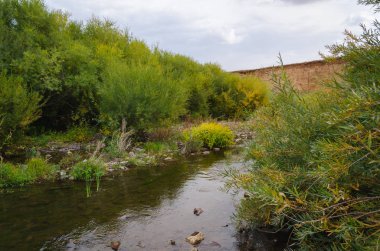 Güneşli bir nehir manzarası