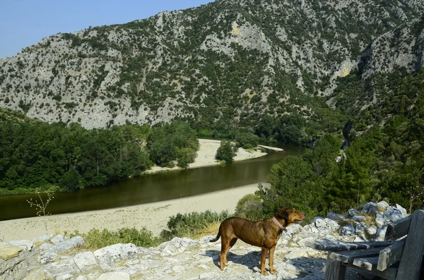 Grecia, desfiladero de Nestos — Foto de Stock