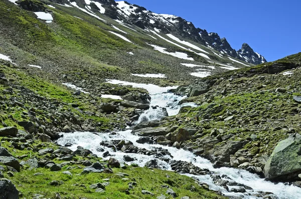 Austria, Tirol, arroyo — Foto de Stock