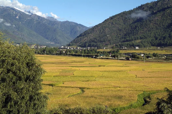 Bhutan, Paro, krajobraz — Zdjęcie stockowe