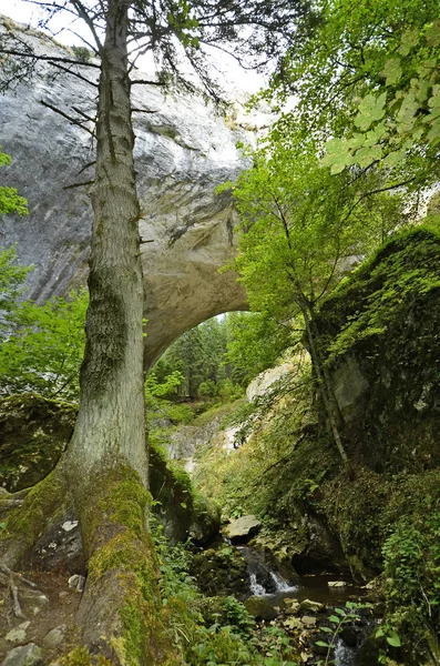 Bulgarije, natuurlijke bruggen — Stockfoto