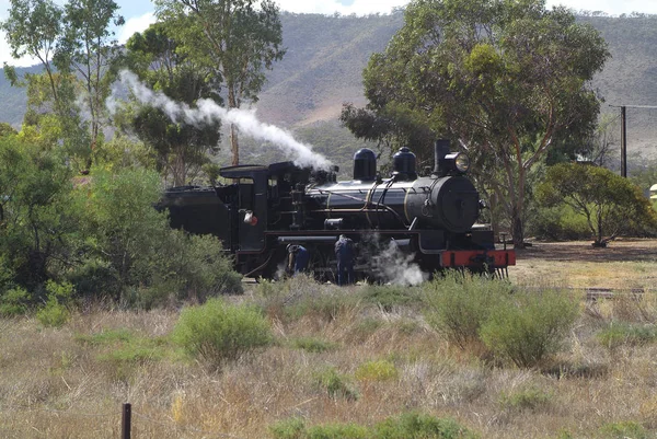 Australien, pichi richi järnväg — Stockfoto