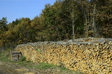 Avusturya, tarım, ormancılık