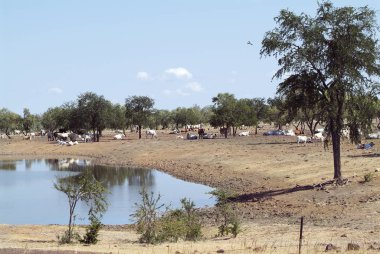 Avustralya, Kuzey toprakları