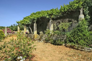 Yunanistan, Zakynthos Adası