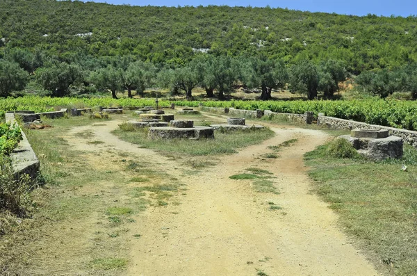 Grécia, Ilha de Zakynthos — Fotografia de Stock