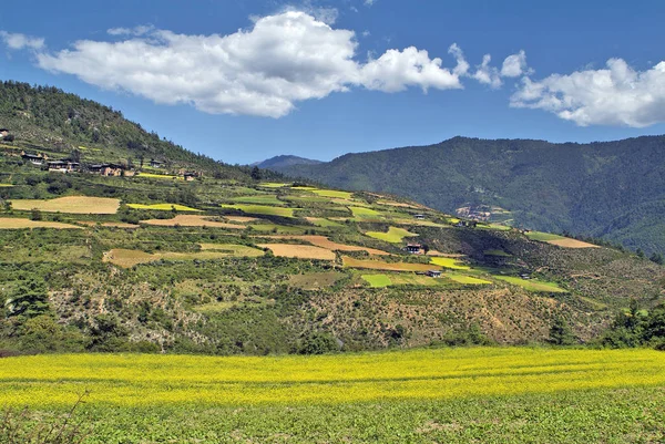 Bhutan, Valle di Haa — Foto Stock