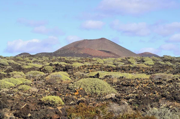 Spagna, Isole Canarie — Foto Stock