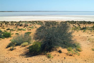 Güney Avustralya, doğa