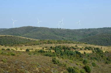 Yunanistan, Dadia, Evros alan