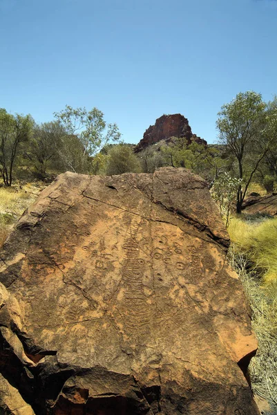 Australia, Nt, East Mc Donnell gamma, — Foto Stock