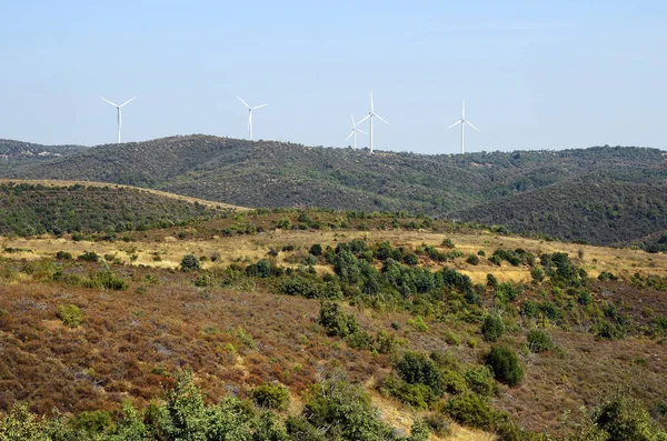 Griechenland, dadia wald — Stockfoto