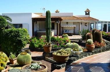 İspanya, Kanarya Adası