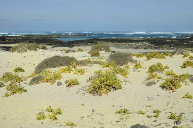 İspanya, Kanarya Adası