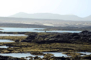 İspanya, Kanarya Adası