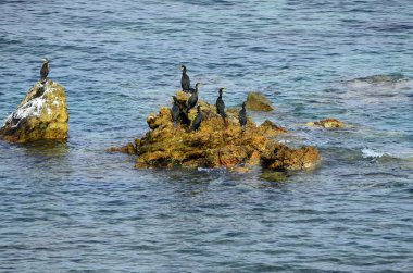 Yunanistan, Semadirek Adası