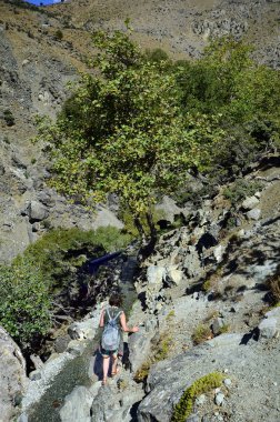 Yunanistan, Semadirek Adası