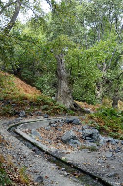 Yunanistan, Semadirek Adası