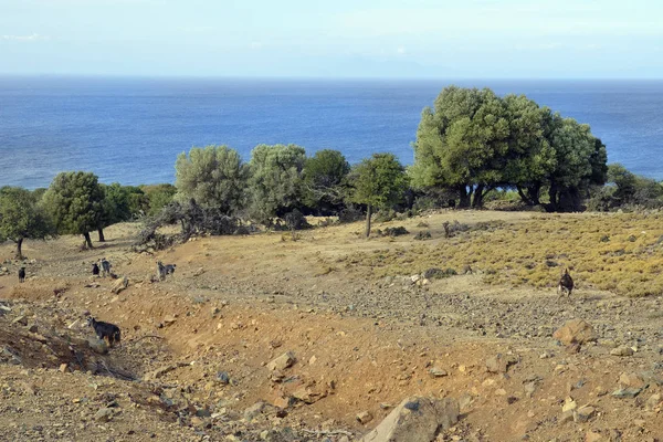 Yunanistan, Semadirek Adası — Stok fotoğraf