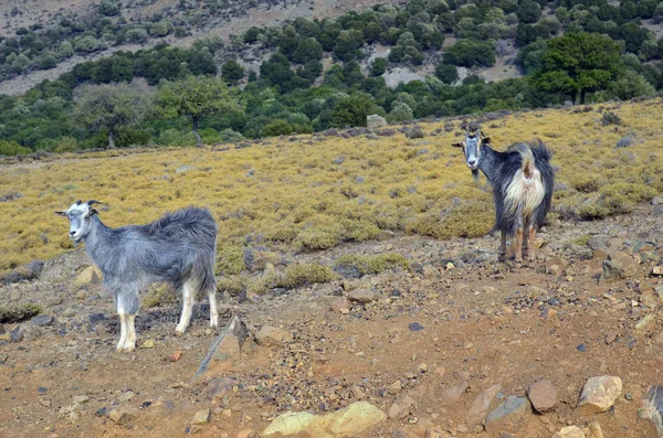 Griechenland, Insel Samothraki — Stockfoto