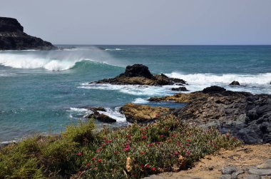 İspanya, Kanarya Adaları, Fuerteventura