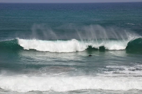 Spanien, Kanarische Inseln, Fuerteventura, Wassersport — Stockfoto