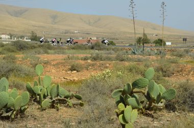 İspanya, Kanarya Adaları, spor