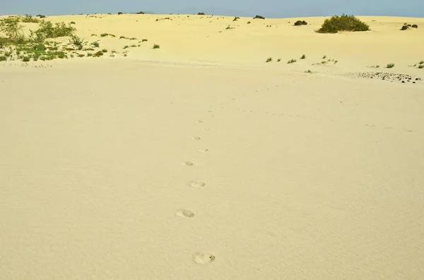 Spagna, Isole Canarie, Isola di Fuerteventura — Foto Stock