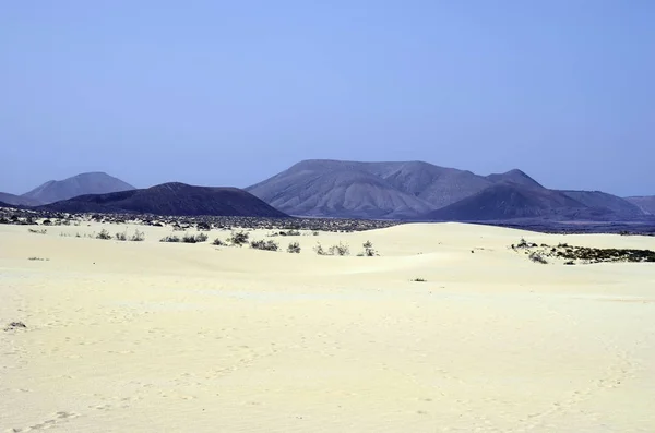 Wyspa Fuerteventura Hiszpania, Wyspy Kanaryjskie, — Zdjęcie stockowe