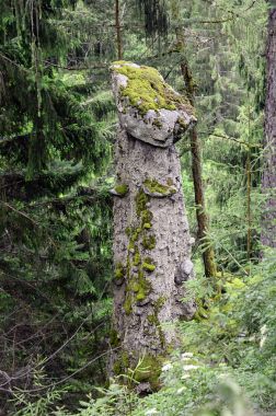 Avusturya, Tyrol, dünya piramitleri