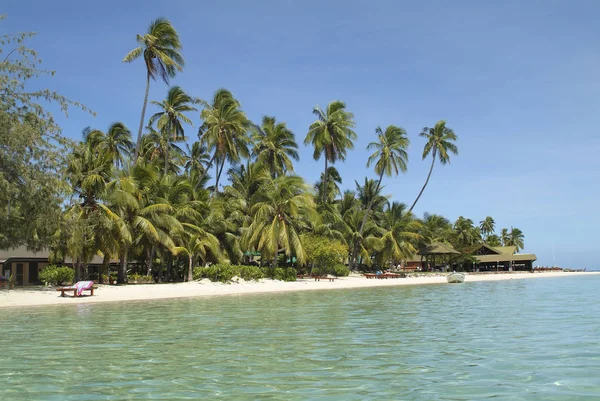 Fiji, Melanesia, Malolo Lailai Adası, — Stok fotoğraf