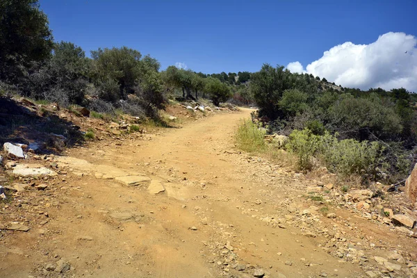 Grekland, thassos island — Stockfoto