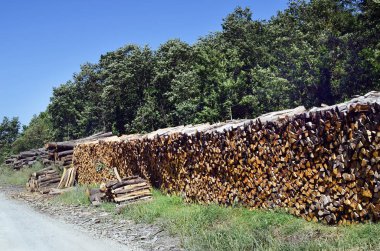 Avusturya, orman sanayi