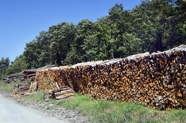 Avusturya, orman sanayi