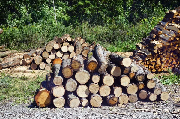 Avusturya, orman sanayi