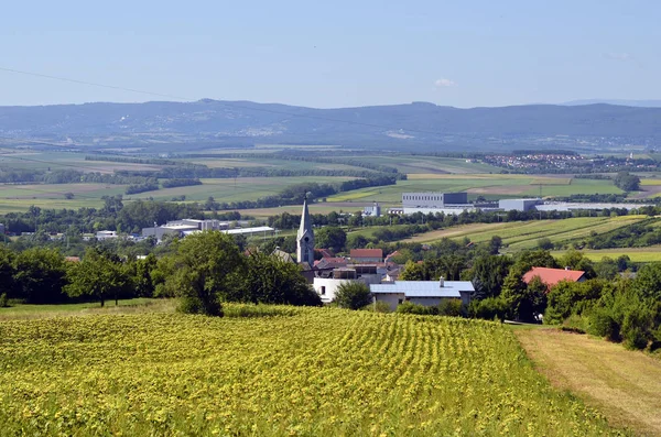 Áustria, Burgenland, agricultura — Fotografia de Stock