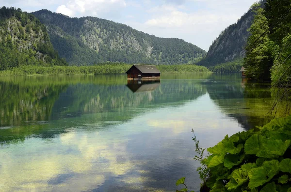 Áustria, Almtal, Natureza — Fotografia de Stock