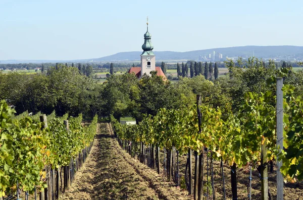 Austria, Agricoltura, Paesaggio rurale, stagione — Foto Stock