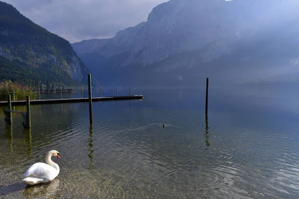 Austria, Salzkammergut, nature — стокове фото