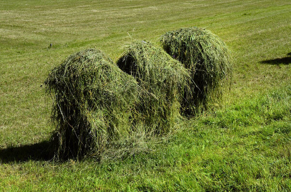 Австрия, Тироль, сельское хозяйство
