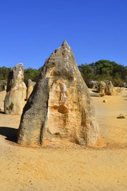 Avustralya, Wa, Pinnacles, 
