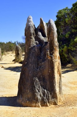 Avustralya, Wa, Pinnacles, 