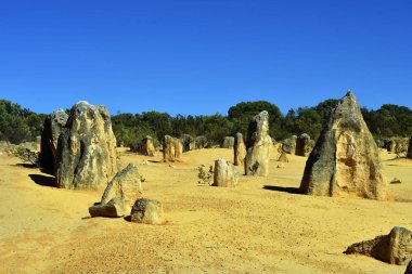 Avustralya, Wa, Pinnacles, 