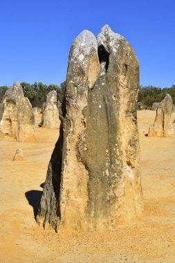 Avustralya, Wa, Pinnacles, 