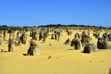 Avustralya, Wa, Pinnacles, 