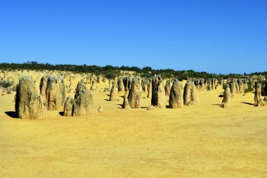 Avustralya, Wa, Pinnacles, 