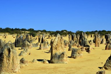 Avustralya, Wa, Pinnacles, 